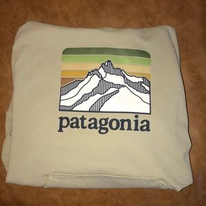 Mens Patagonia Hoodie